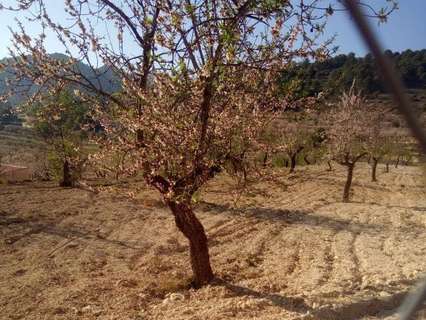 Parcela rústica en venta en Torremanzanas