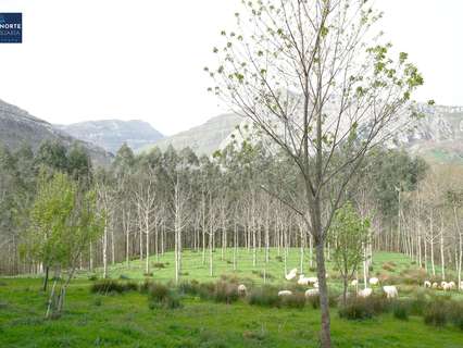 Casa en venta en Arredondo