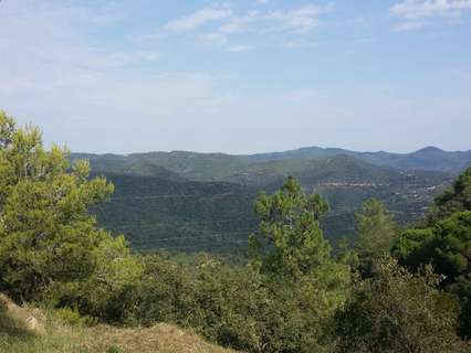 Parcela rústica en venta en Lloret de Mar