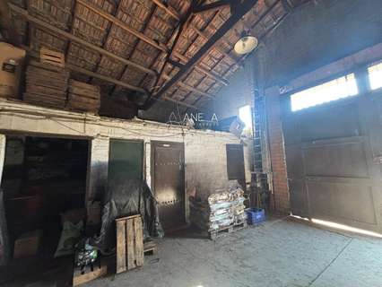 Nave industrial en alquiler en Barcelona