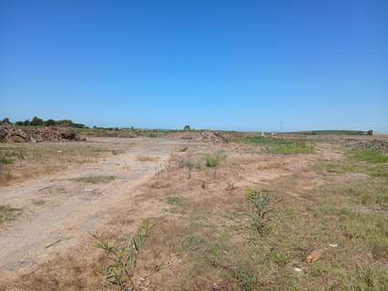 Parcela rústica en venta en El Puerto de Santa María