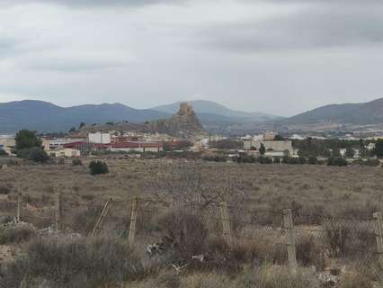 Parcela rústica en venta en Sax