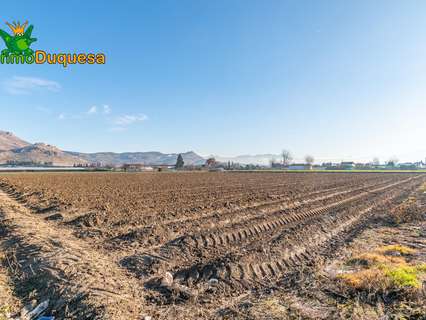 Parcela rústica en venta en Fuente Vaqueros