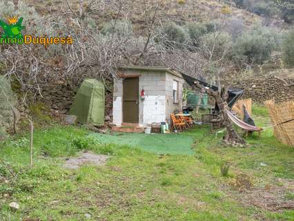 Parcela rústica en venta en Monachil