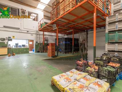 Nave industrial en venta en Almuñécar