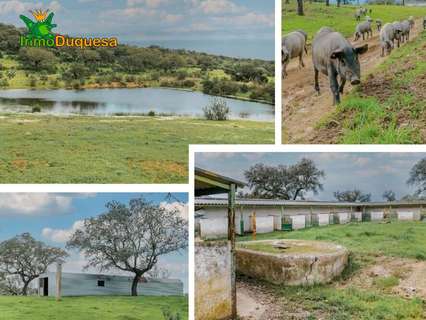 Casa rústica en venta en Puebla de Guzmán