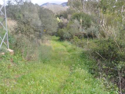 Parcela rústica en venta en Alhaurín el Grande