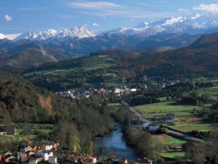 Local comercial en venta en Cangas de Onís
