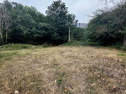 Parcela rústica en venta en Cangas de Onís