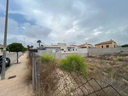 Parcela rústica en venta en San Fulgencio zona San Fulgencio
