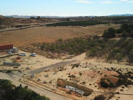 Parcela rústica en venta en Orihuela Torremendo