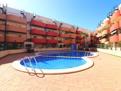Apartamento en alquiler en Almoradí zona Almoradi - Town