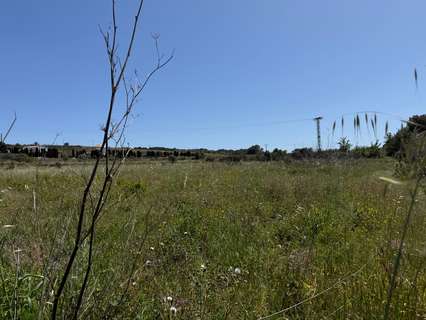 Parcela rústica en venta en Benissa zona Benissa