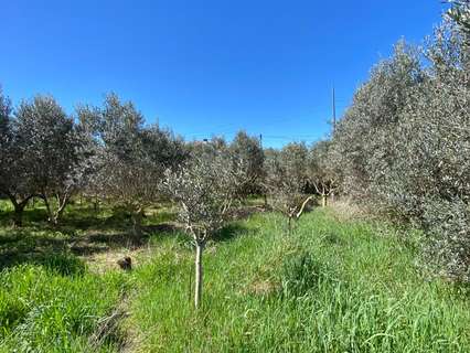 Parcela urbana en venta en Grañén rebajada