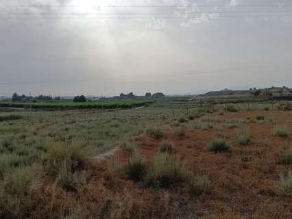 Parcela rústica en venta en Las Torres de Cotillas