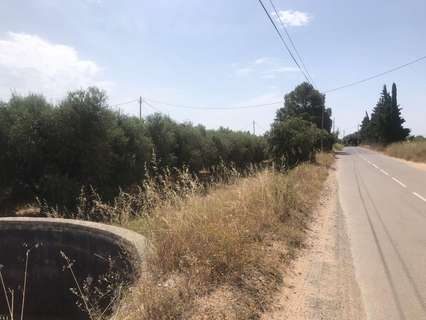 Parcela rústica en venta en Vinyols i els Arcs rebajada