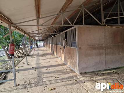 Parcela rústica en alquiler en Reus