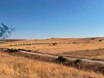 Parcela rústica en venta en Paracuellos de Jarama