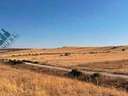 Parcela rústica en venta en Paracuellos de Jarama