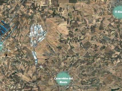 Parcela rústica en venta en Casarrubios del Monte