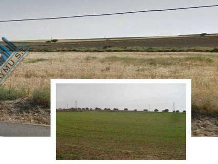 Parcela rústica en venta en Torrejón de Velasco