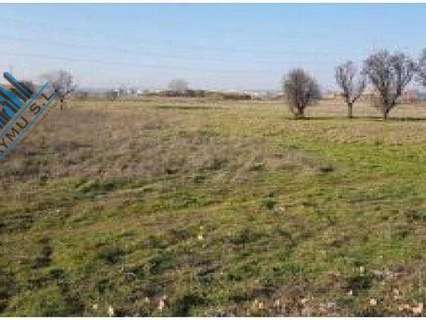 Parcela rústica en venta en Algete