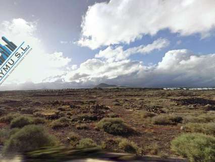 Parcela rústica en venta en Teguise