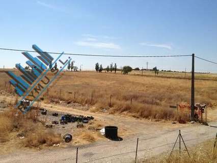 Parcela rústica en venta en Móstoles