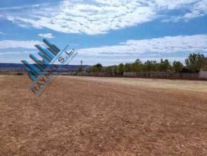 Parcela rústica en venta en Alcalá de Henares
