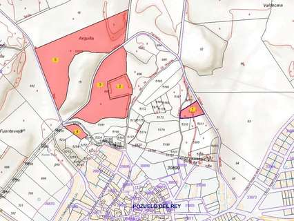 Parcela rústica en venta en Pozuelo del Rey
