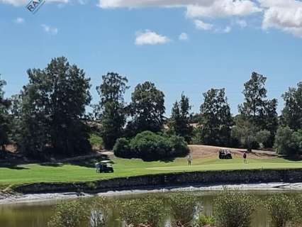 Parcela rústica en venta en Jerez de la Frontera