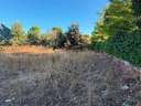 Parcela rústica en venta en Madrid