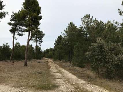 Parcela rústica en venta en Cuéllar