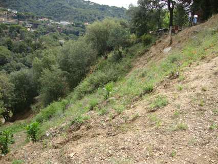 Parcela urbana en venta en Sant Cebrià de Vallalta rebajada