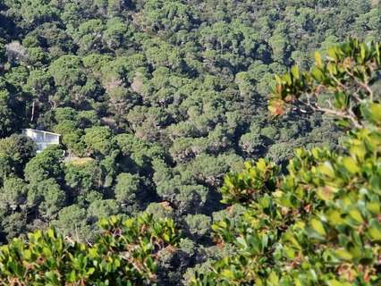 Parcela rústica en venta en Sant Cebrià de Vallalta