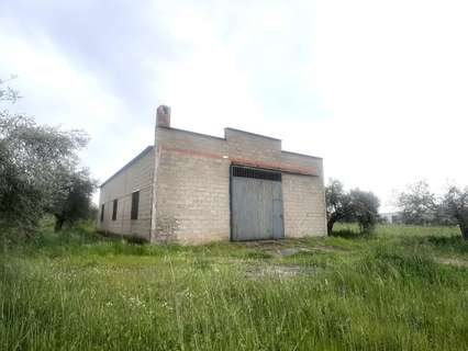 Parcela rústica en venta en Don Benito