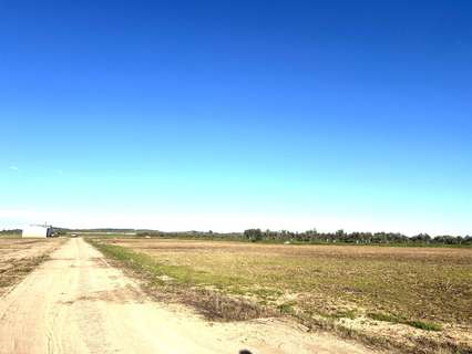 Parcela rústica en venta en Don Benito