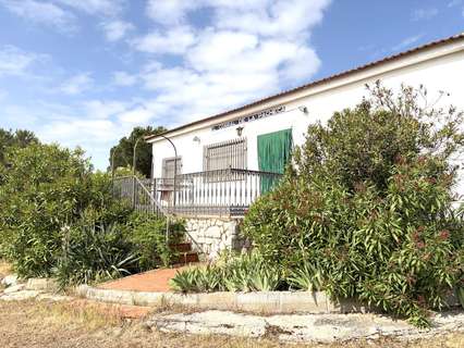 Parcela rústica en venta en La Haba