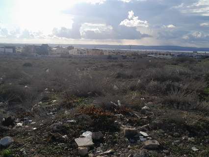 Parcela rústica en venta en Torrevieja