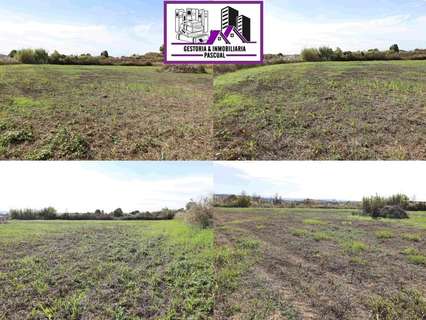 Parcela rústica en venta en Alcañiz