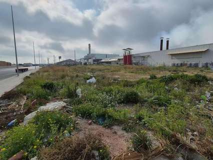 Parcela rústica en venta en Chilches/Xilxes