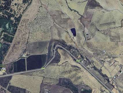 Parcela rústica en venta en Sanlúcar la Mayor rebajada