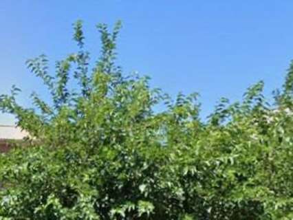 Piso en venta en Maracena