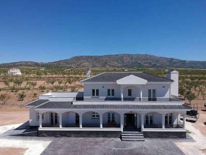 Villa en venta en El Pinós/Pinoso