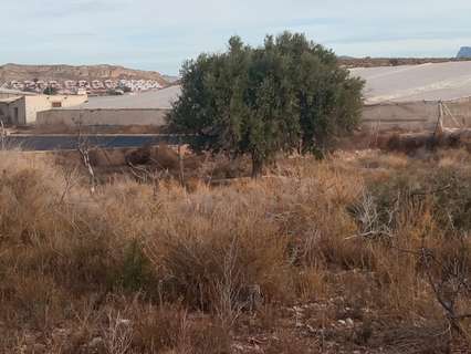 Parcela rústica en venta en Mutxamel