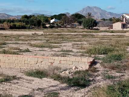 Parcela rústica en venta en Mutxamel