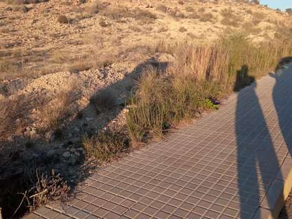 Parcela rústica en venta en Mutxamel rebajada