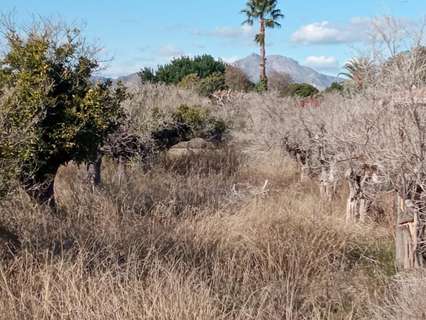 Parcela rústica en venta en Mutxamel