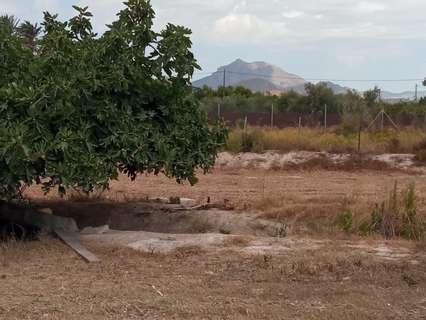 Parcela rústica en venta en Mutxamel