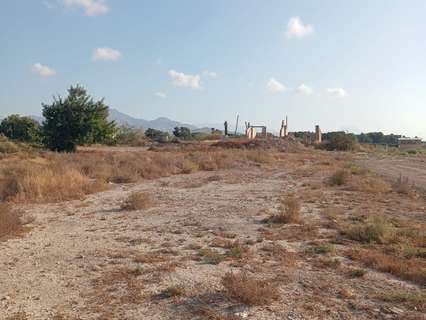 Parcela rústica en venta en Mutxamel